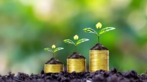Grant Structure