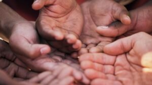 Data-Driven Funding for Nonprofits
